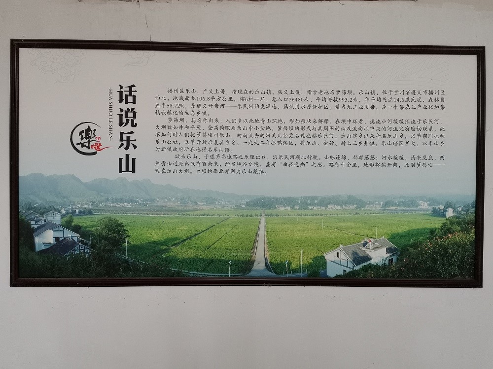 基本情况.jpg